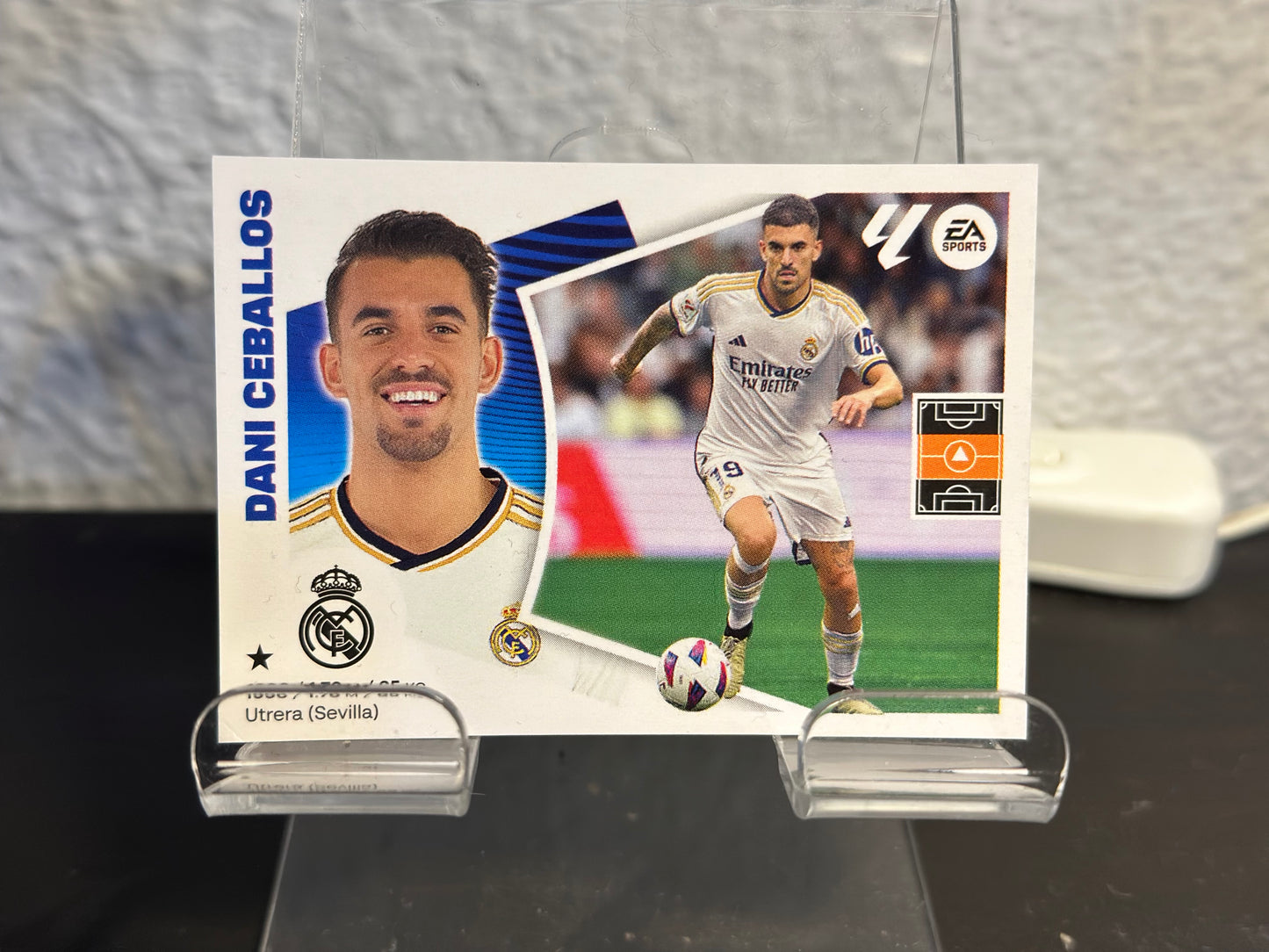 Dani Ceballos - N° 13 B