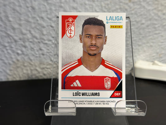 Loïc Williams - N° 235