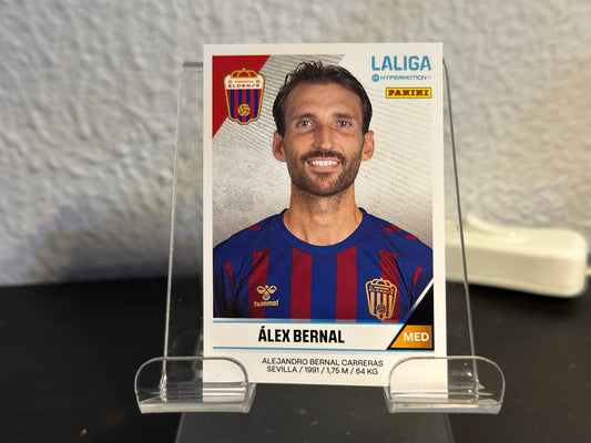 Alex Bernal - N° 202 A